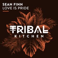 Sean Finn - Love Is Pride