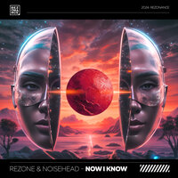 Rezone & NoiseHead - Now I Know